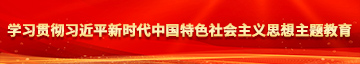 美女操鸡巴视频在线看学习贯彻习近平新时代中国特色社会主义思想主题教育